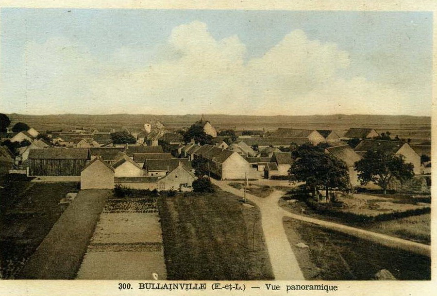 16321.jpg