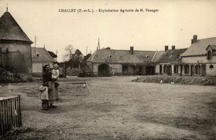 16399.jpg