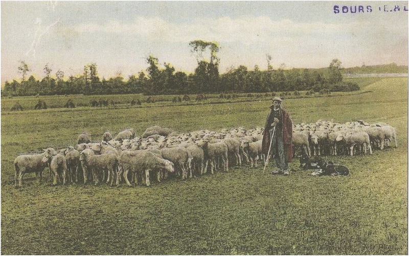 15418.jpg