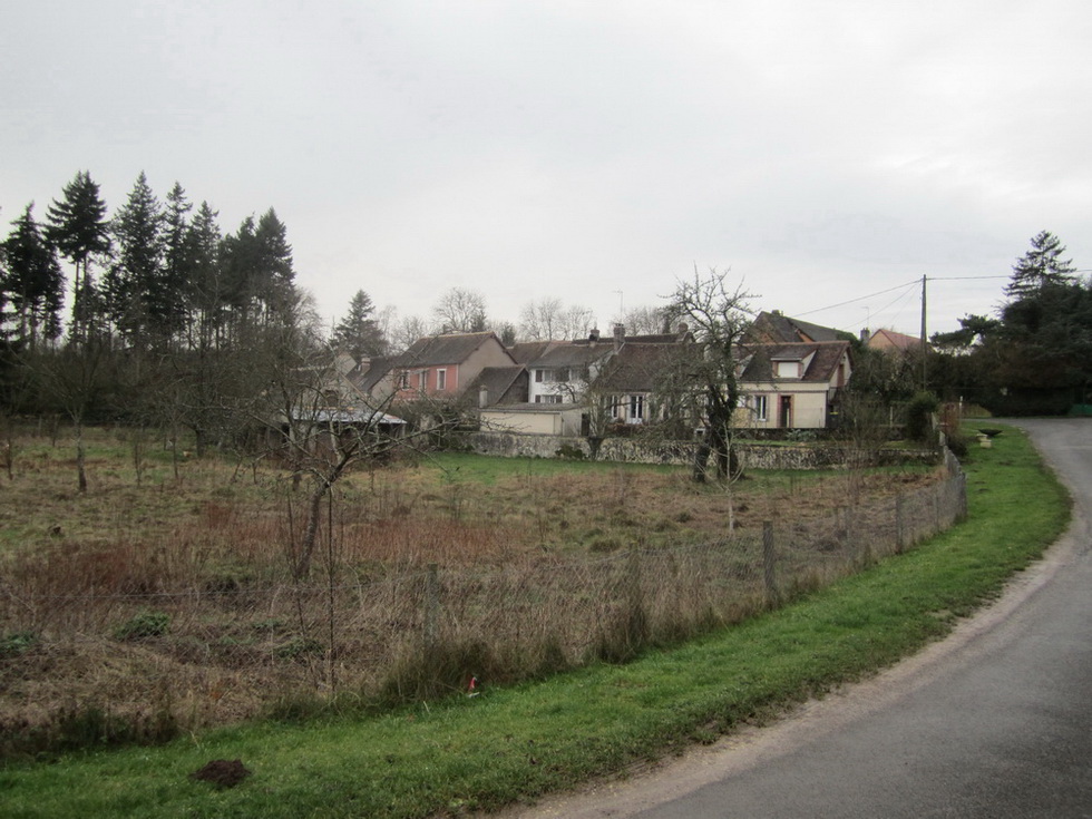54068.jpg