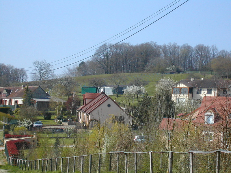 13423.jpg