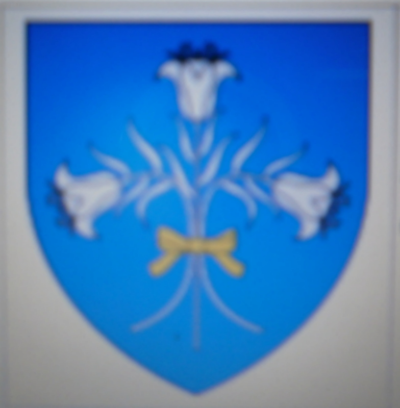 48737.jpg
