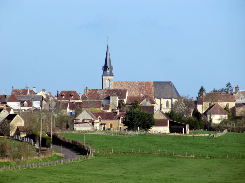 17561.jpg