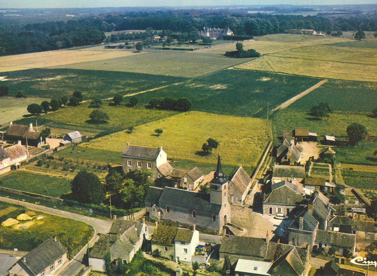 25724.jpg