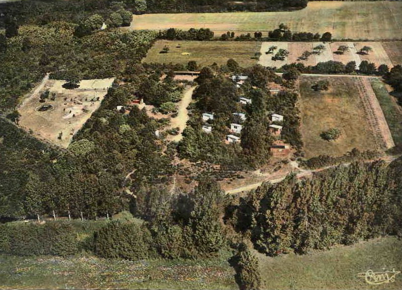 26265.jpg
