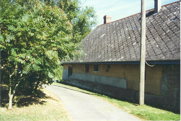 4762.jpg