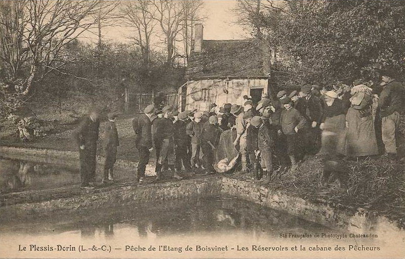 19316.jpg