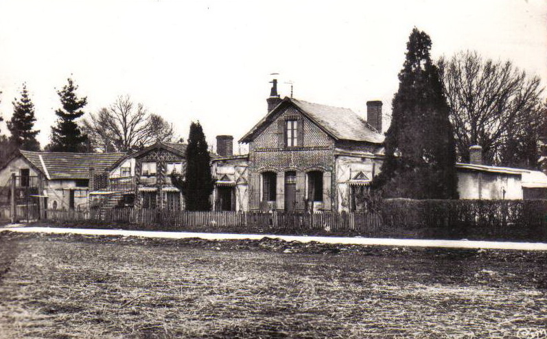 21929.jpg