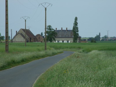 3511.jpg