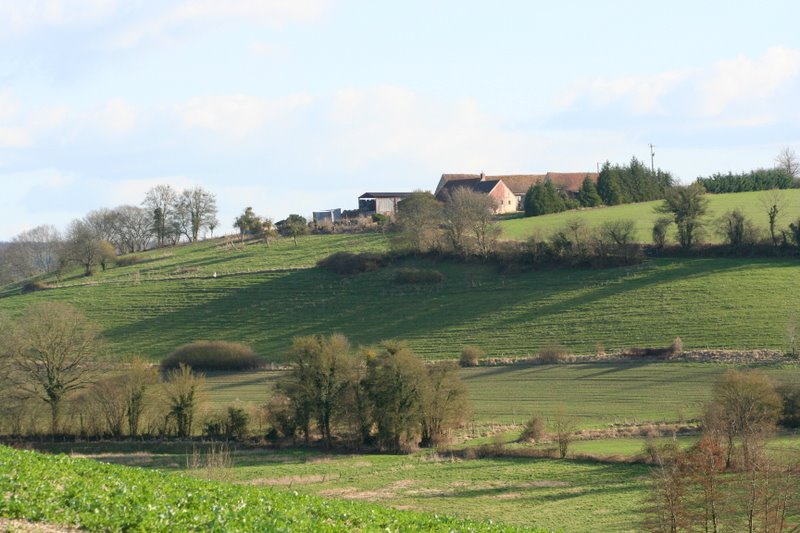 5455.jpg
