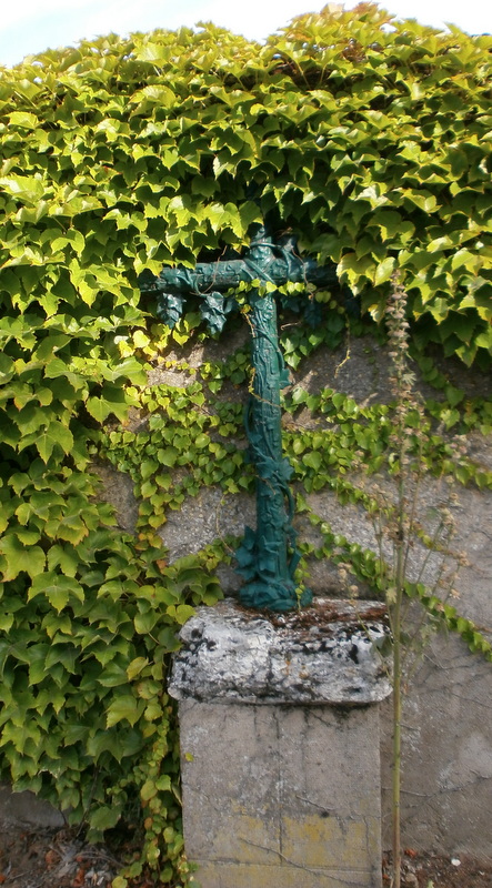42555.jpg