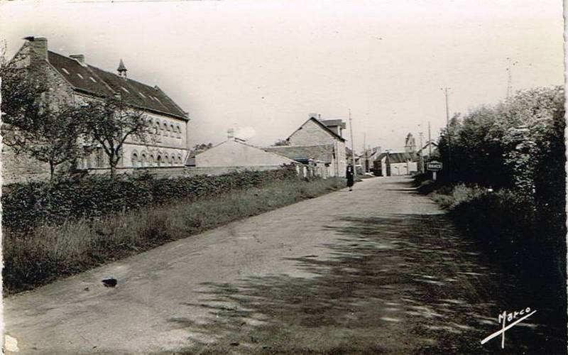 49198.jpg
