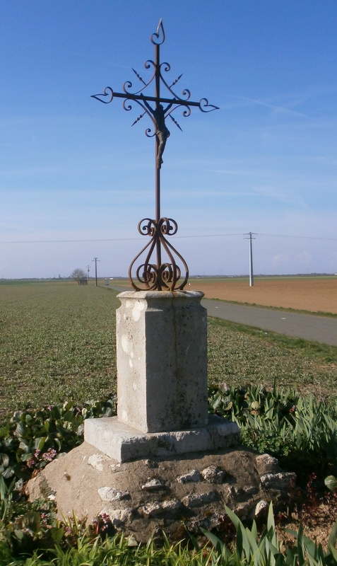57578.jpg