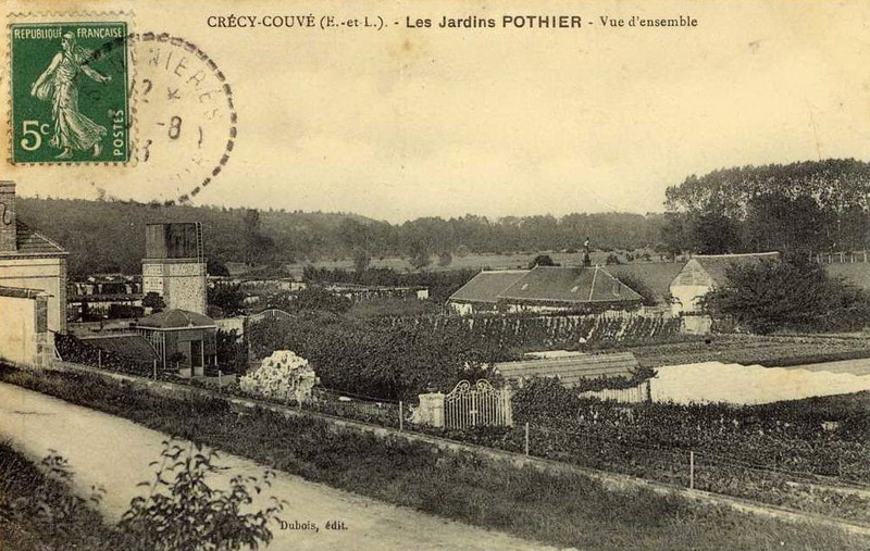 19277.jpg