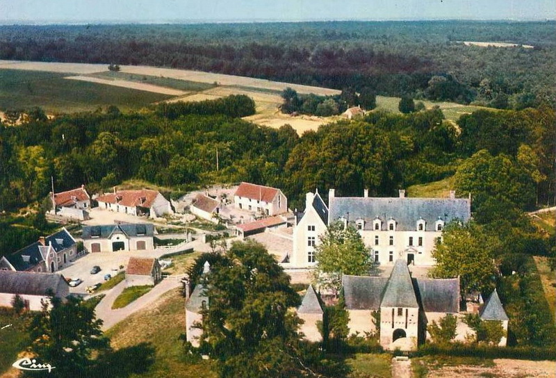 19746.jpg