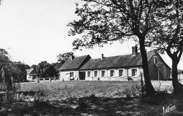 21931.jpg