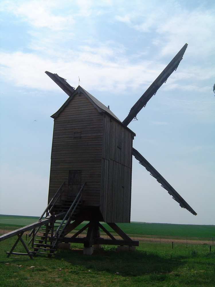 23062.jpg