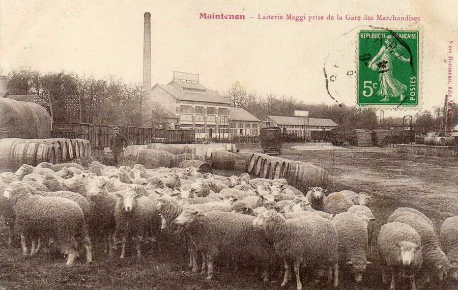 27954.jpg