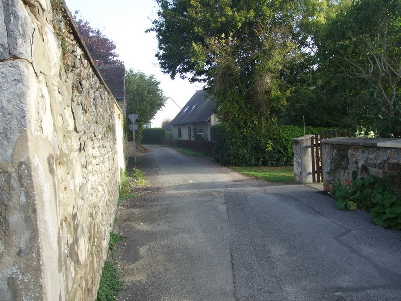 44009.jpg